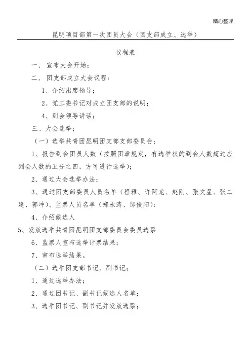 团支部委员会成立程序