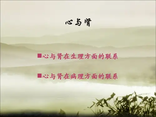 心与肾