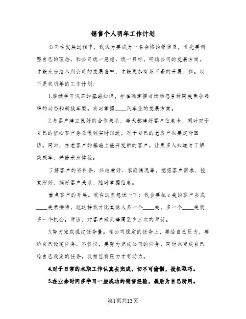 销售个人明年工作计划(5篇)