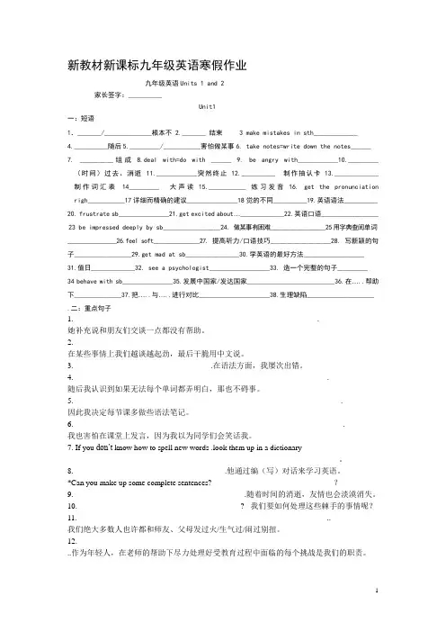 新教材新课标九年级英语寒假作业 (15)