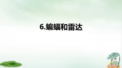 《蝙蝠与雷达》PPT优质文档(共22张PPT)