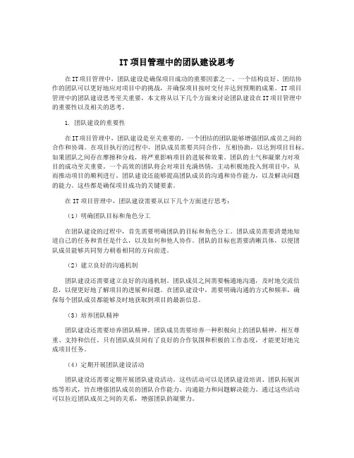 IT项目管理中的团队建设思考