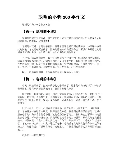 聪明的小狗300字作文