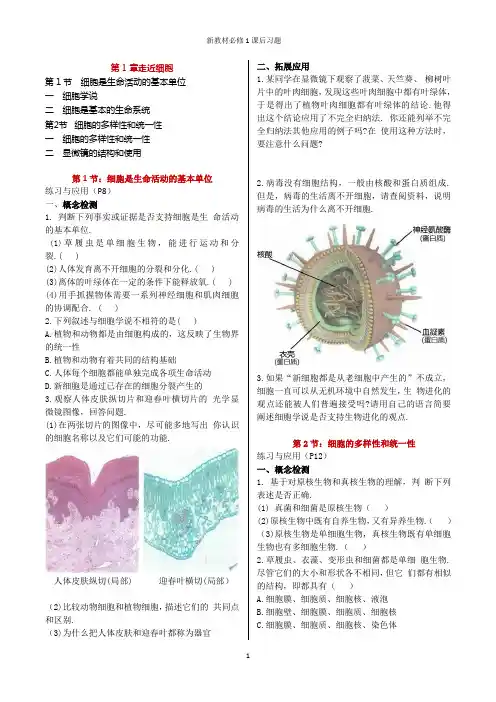 新教材高中生物必修1课后习题整理