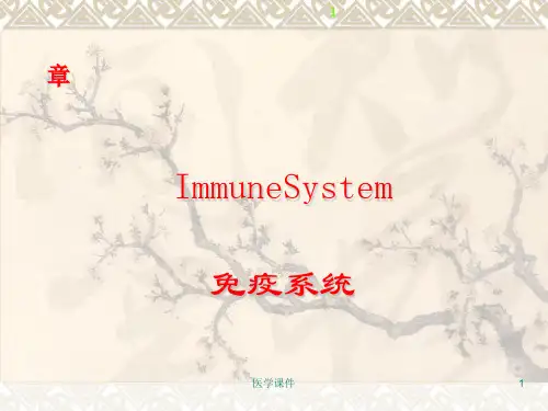 组织学与胚胎学免疫系统 PPT课件
