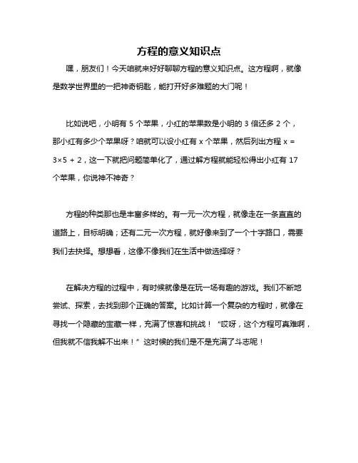 方程的意义知识点