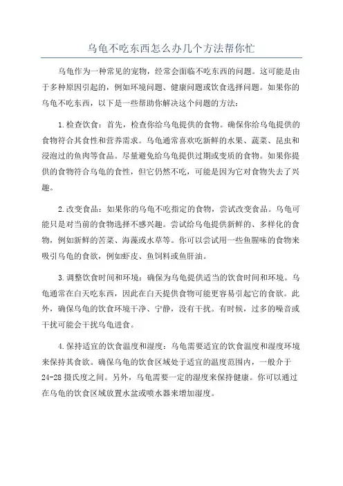乌龟不吃东西怎么办几个方法帮你忙