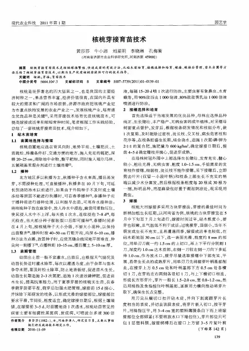 核桃芽接育苗技术