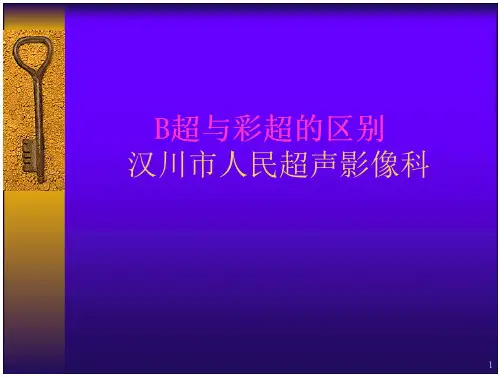 20_教案B超与彩超的区别