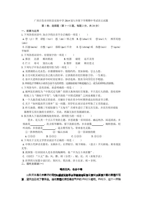 广西百色市田阳县实验中学2014届九年级下学期期中考试语文试题