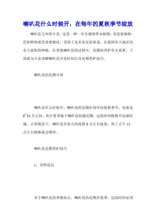 喇叭花什么时候开,在每年的夏秋季节绽放