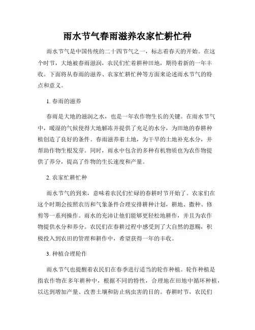 雨水节气春雨滋养农家忙耕忙种
