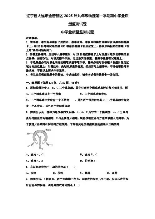 辽宁省大连市金普新区2025届九年级物理第一学期期中学业质量监测试题含解析