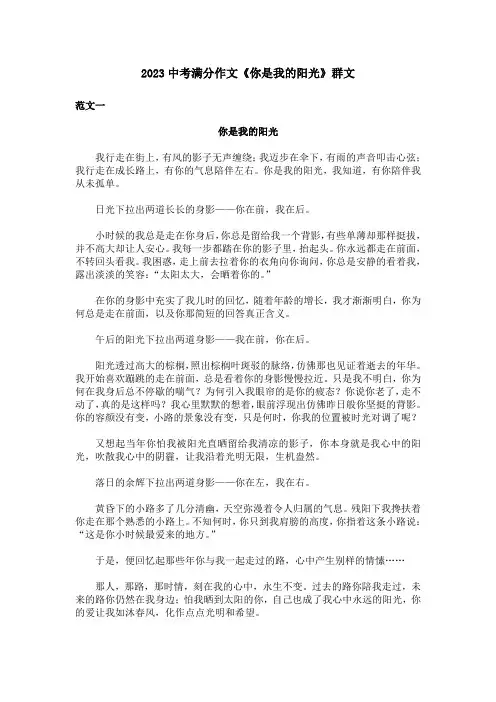 2023中考满分作文《你是我的阳光》群文