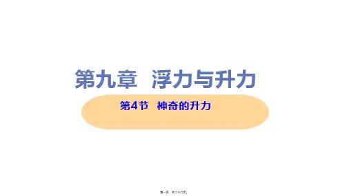新沪粤版八年级下册初中物理 9-4 神奇的升力 教学课件