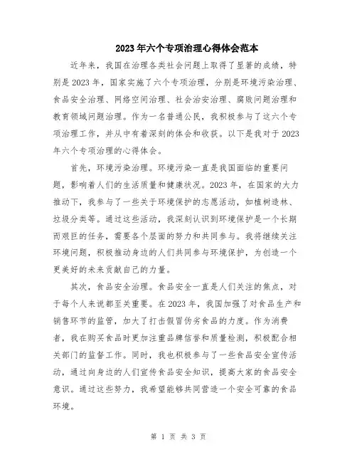2023年六个专项治理心得体会范本