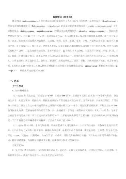 棘球蚴病