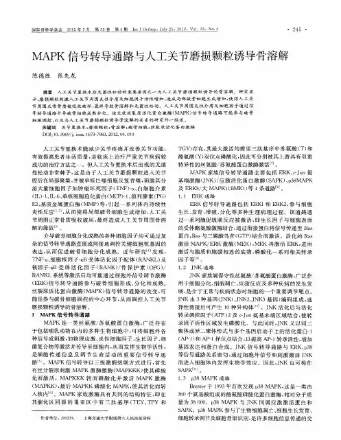 MAPK信号转导通路与人工关节磨损颗粒诱导骨溶解