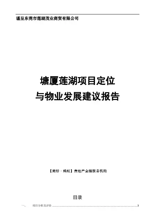 东莞市塘厦莲湖项目定位与物业发展建议报告