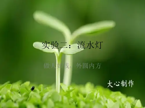 实验二.51单片机点亮流水灯