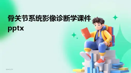2024版12509_骨关节系统影像诊断学课件pptx