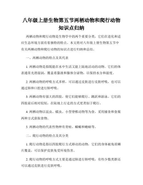 八年级上册生物第五节两栖动物和爬行动物知识点归纳