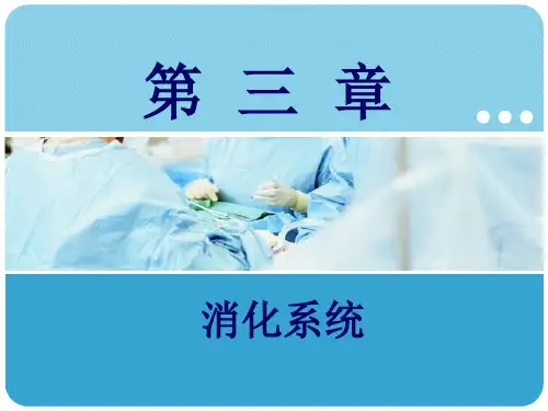 人体解剖学第三章消化系统