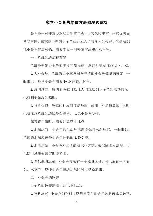 家养小金鱼的养殖方法和注意事项