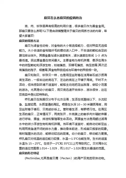 扇贝怎么养扇贝的疫病防治