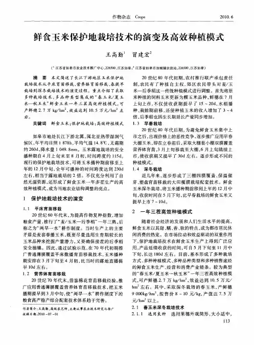 鲜食玉米保护地栽培技术的演变及高效种植模式