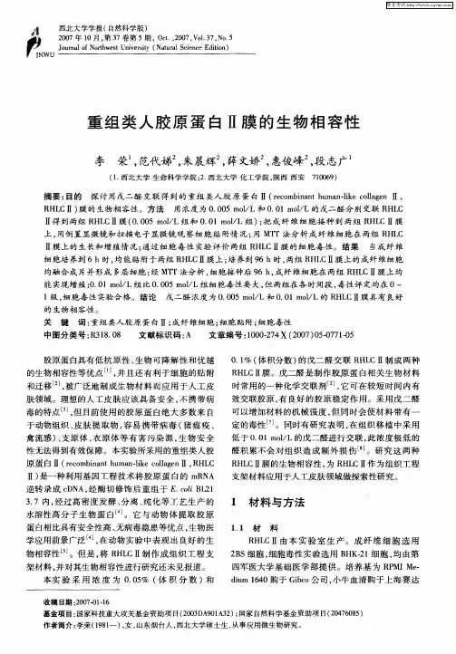 重组类人胶原蛋白Ⅱ膜的生物相容性