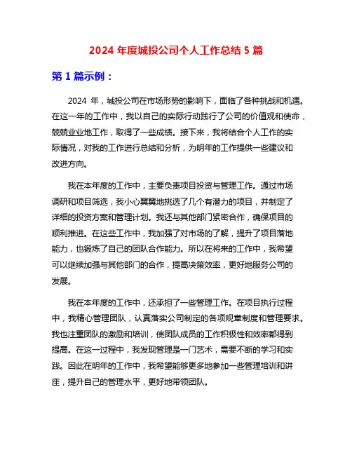 2024年度城投公司个人工作总结5篇