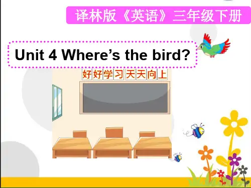 (译林版)三下 Unit4 Where's the bird 教学课件