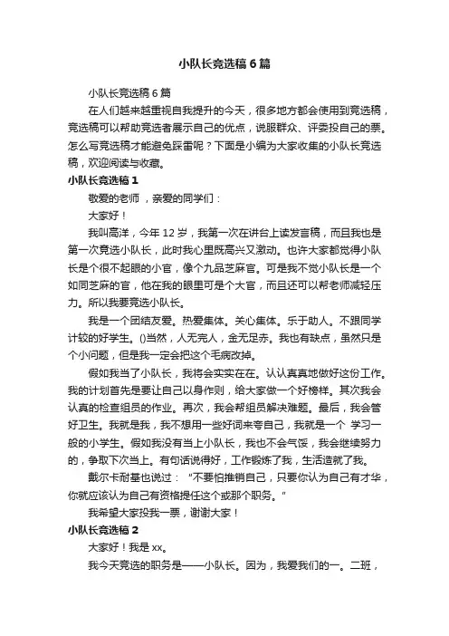 小队长竞选稿6篇
