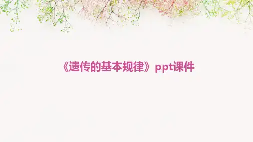 《遗传的基本规律》课件