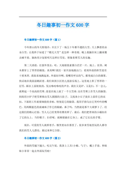 冬日趣事初一作文600字
