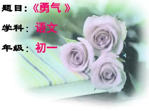 勇气课件1(13页)(鄂教版七年级下)
