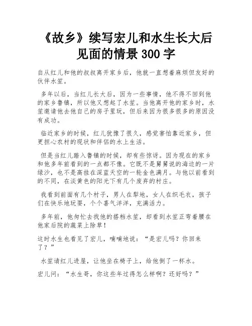 《故乡》续写宏儿和水生长大后见面的情景300字