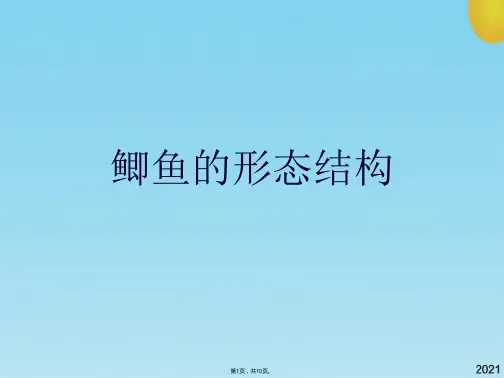 鲫鱼的形态结构(共10张PPT)