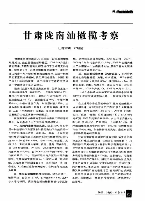 甘肃陇南油橄榄考察