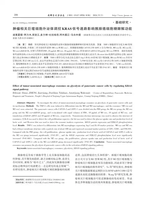 肿瘤相关巨噬细胞外泌体调控KRAS信号通路影响胰腺癌细胞糖酵解功能