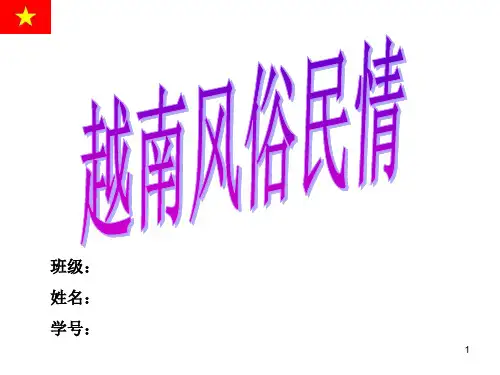 越南风俗民情ppt课件