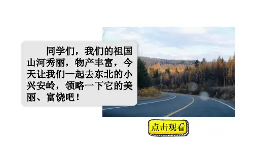 美丽的小兴安岭课件三年级上册语文部编版