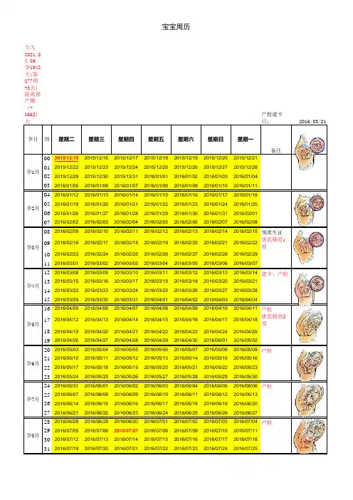 怀孕周期表(胎儿成长阶段图示)