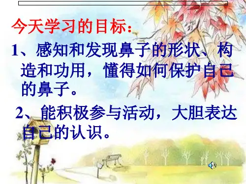 鼻子的故事PPT课件