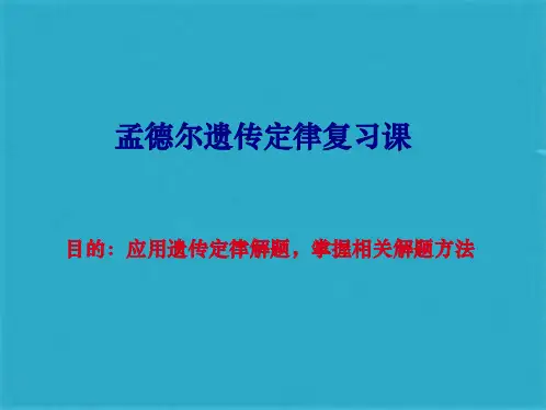 孟德尔遗传定律复习课ppt课件(共16张PPT)