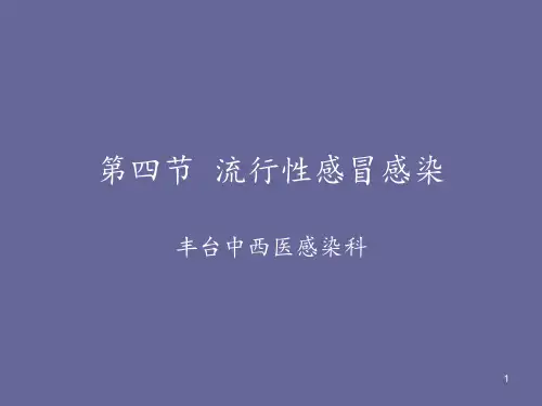 流行性感冒感染ppt课件