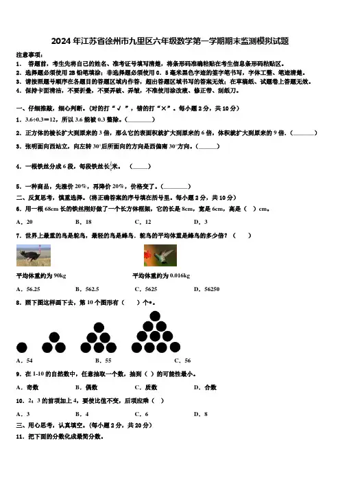 2024年江苏省徐州市九里区六年级数学第一学期期末监测模拟试题含解析