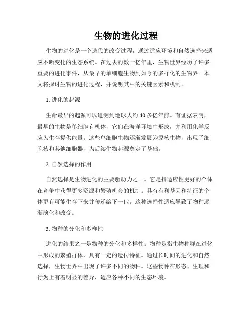 生物的进化过程