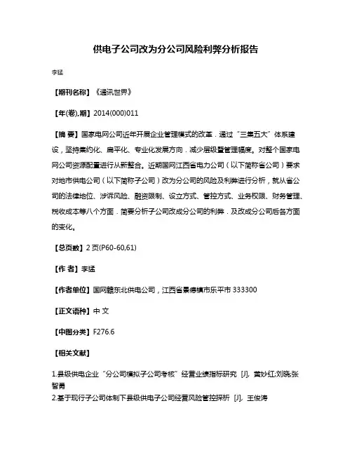 供电子公司改为分公司风险利弊分析报告